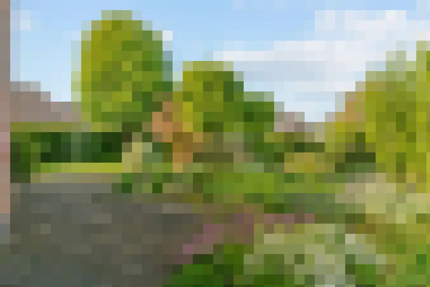 Lange Akkers 14 Heteren thumbnail 44