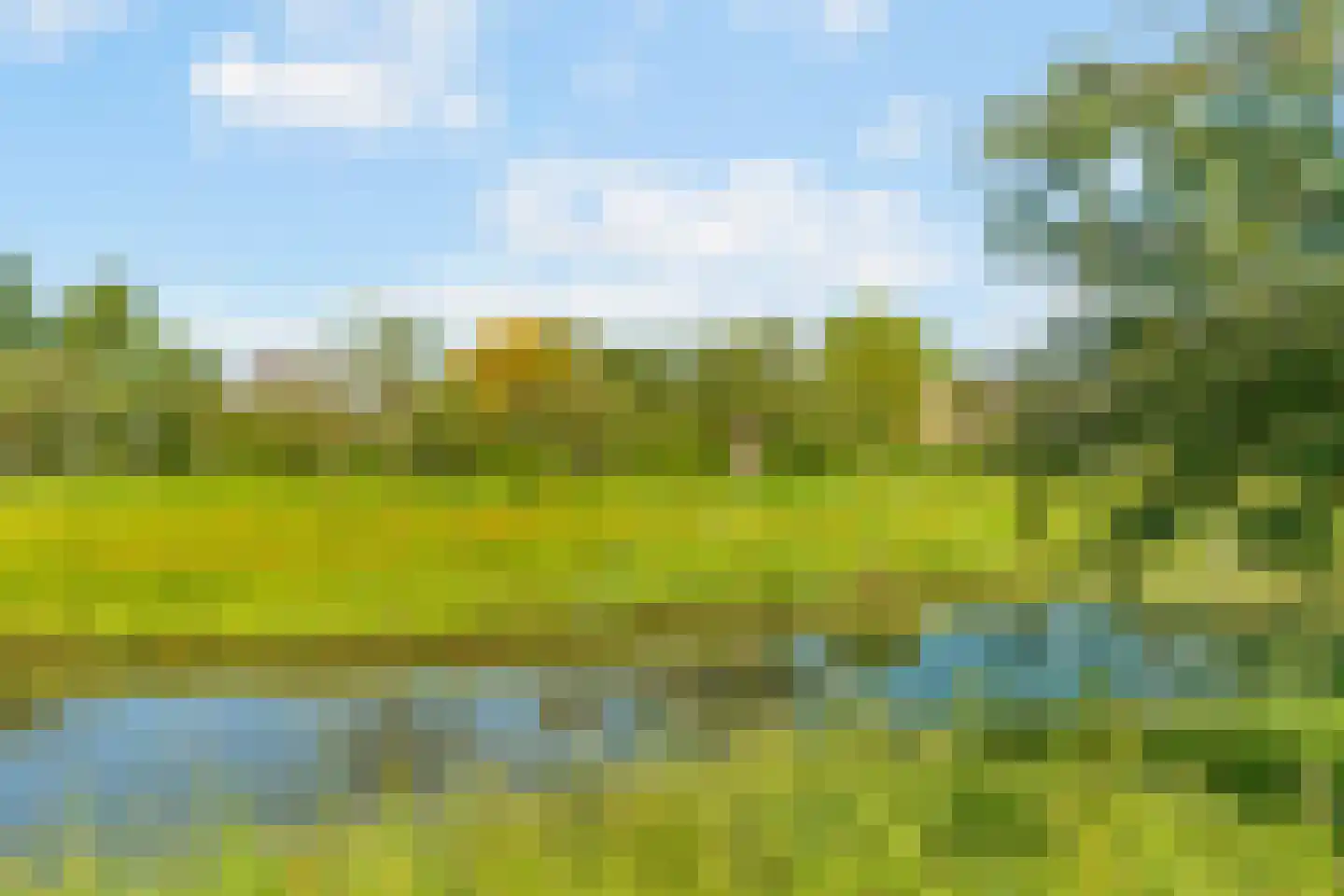 Lange Akkers 14 Heteren thumbnail 45