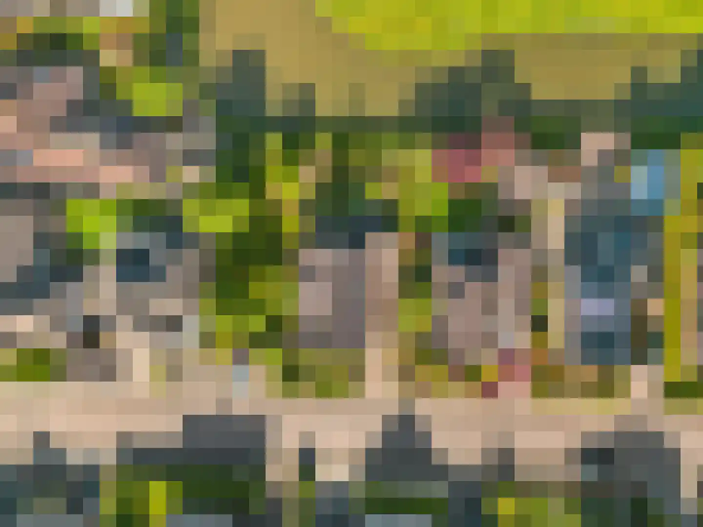 Lange Akkers 14 Heteren thumbnail 49