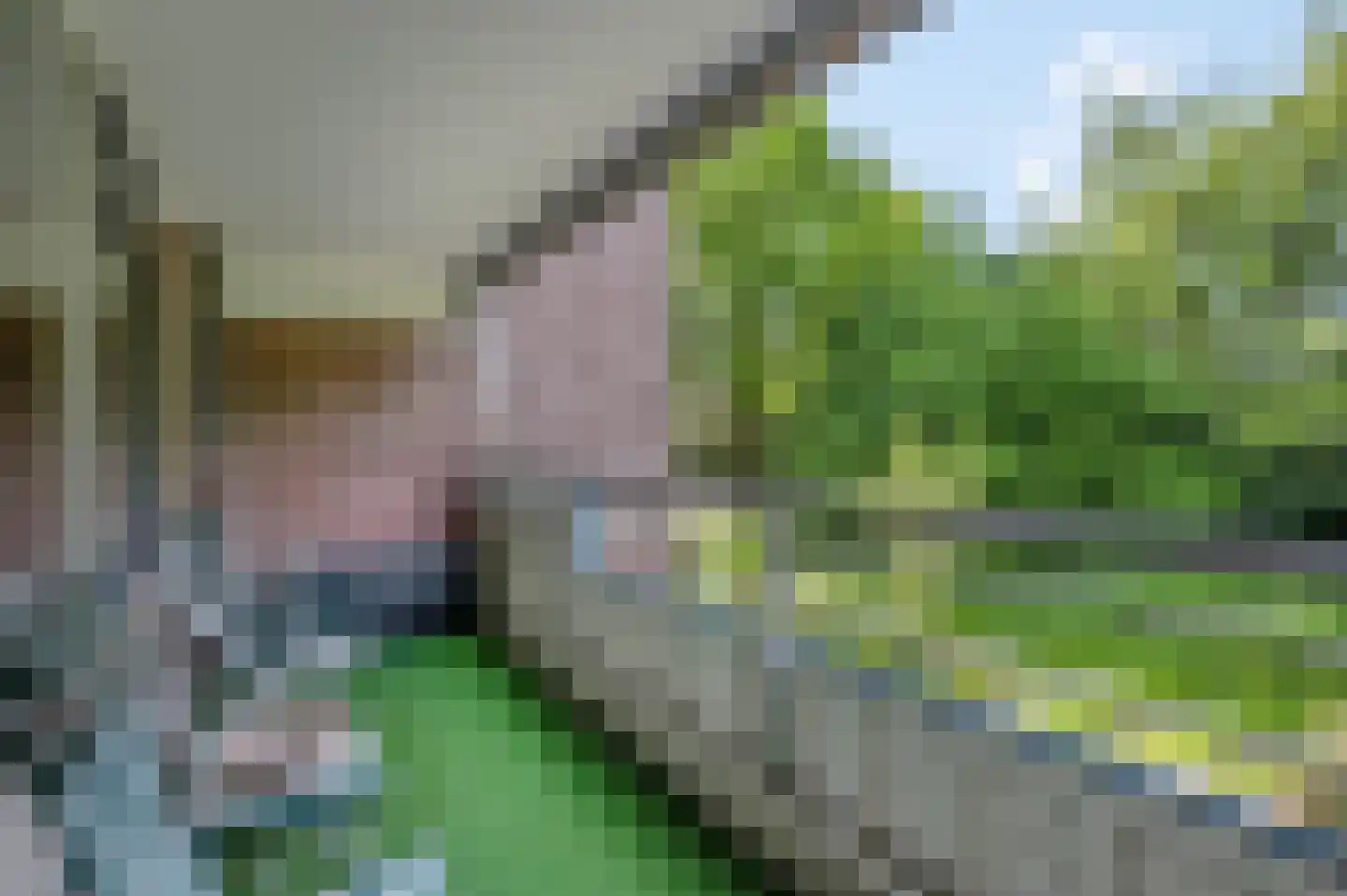 Lange Akkers 37 Ede thumbnail 10