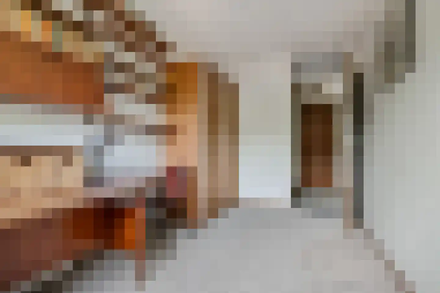 Lange Akkers 37 Ede thumbnail 17