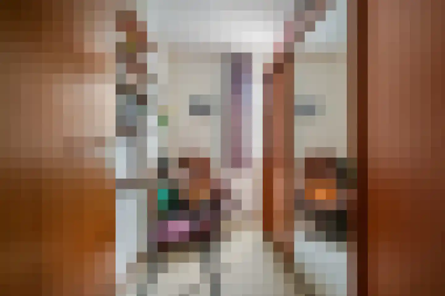 Lange Akkers 37 Ede thumbnail 18