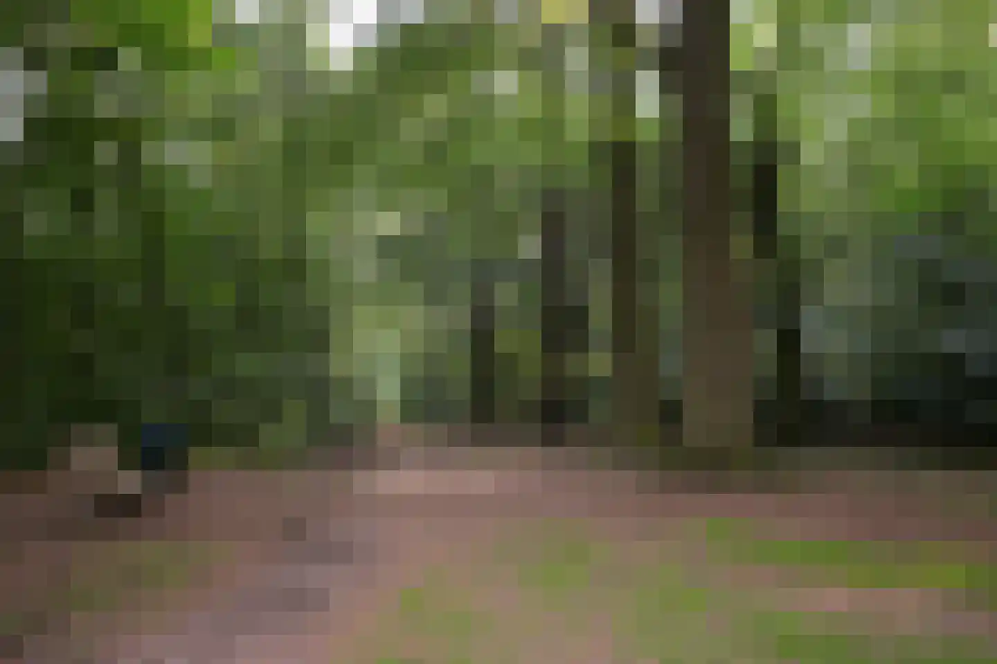 Lange Akkers 37 Ede thumbnail 36