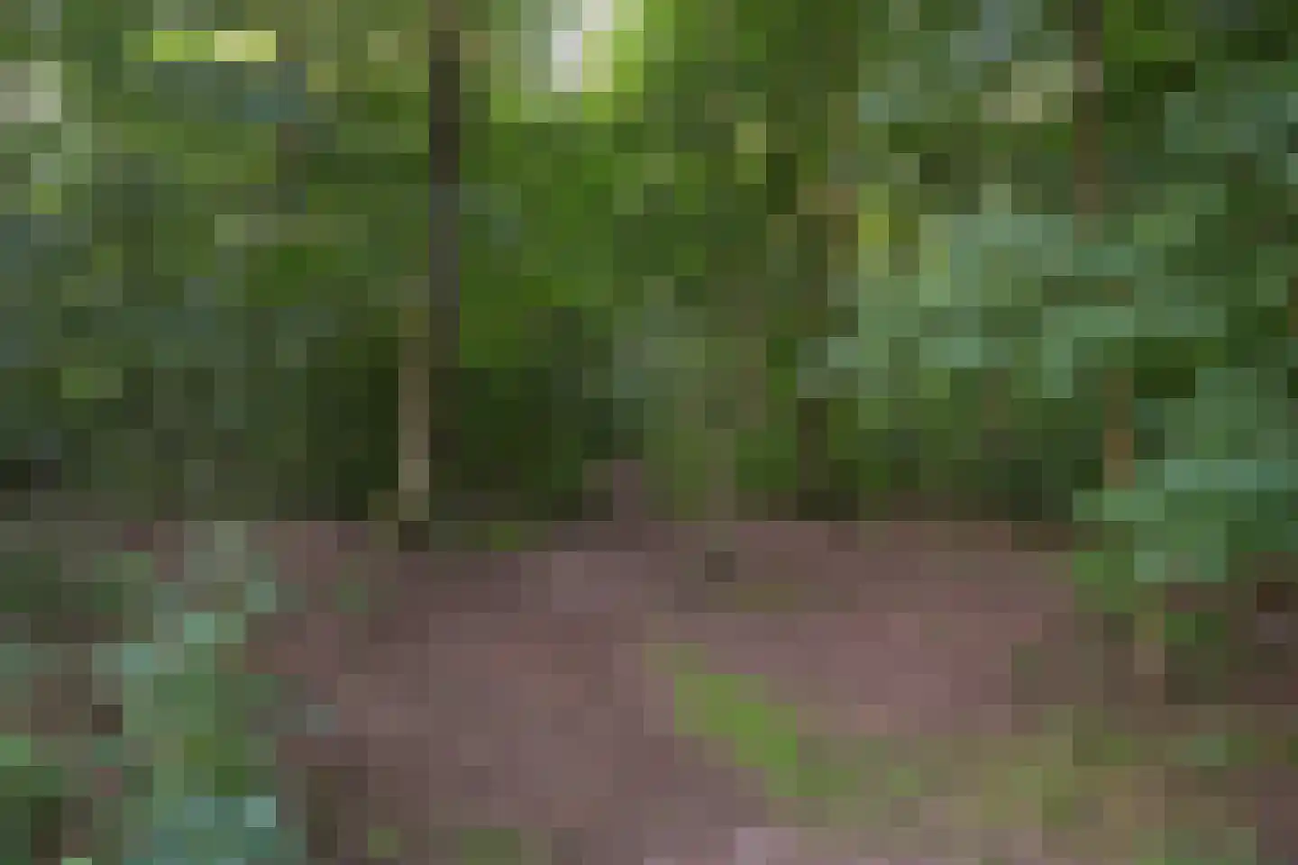 Lange Akkers 37 Ede thumbnail 37