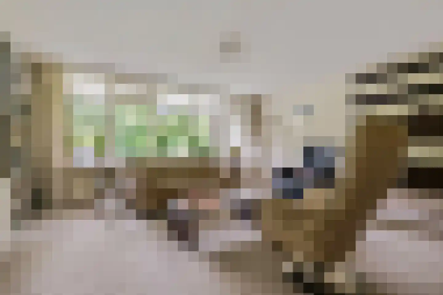 Lange Akkers 37 Ede thumbnail 4