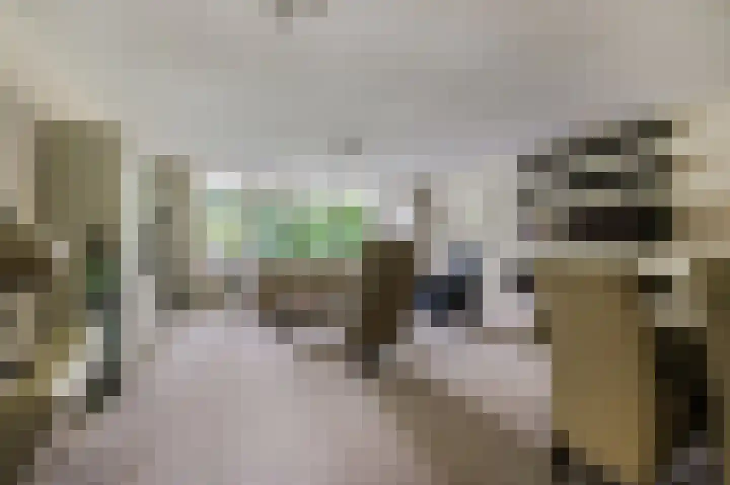 Lange Akkers 37 Ede thumbnail 8