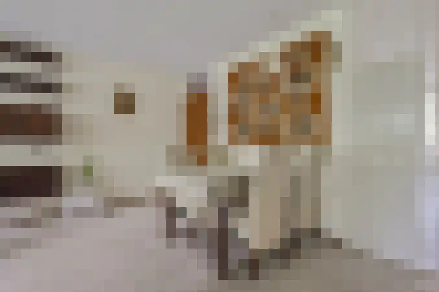Lange Akkers 37 Ede thumbnail 9