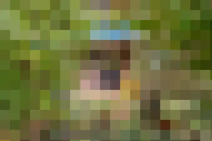 Lange Akkers 5 Ede foto 3