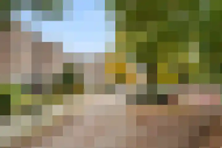 Lange Akkers 5 Ede thumbnail 33