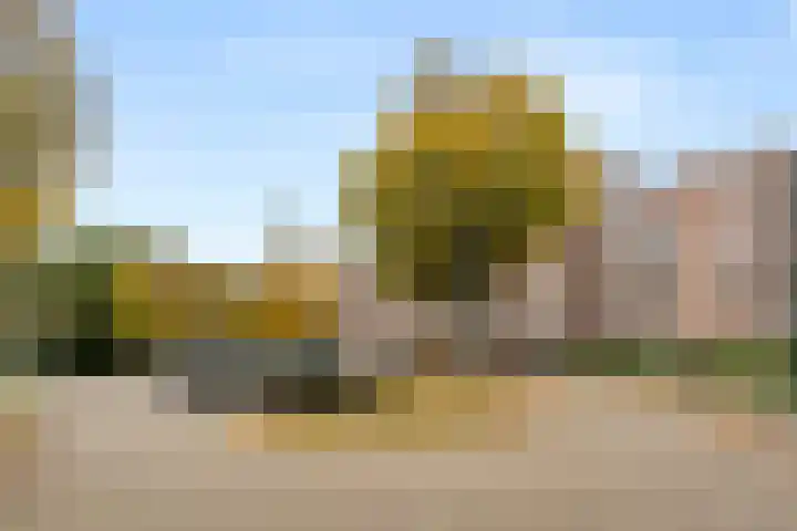 Lange Akkers 5 Ede thumbnail 35