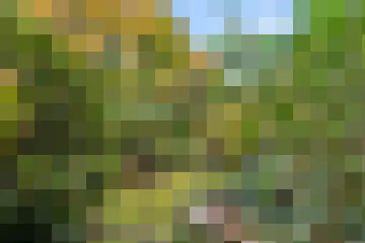 Lange Akkers 5 Ede thumbnail 7