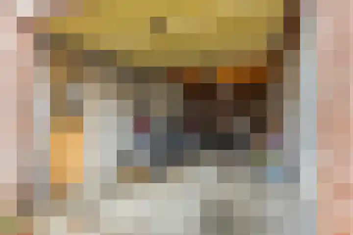 Lange Akkers 53 Ede thumbnail 31