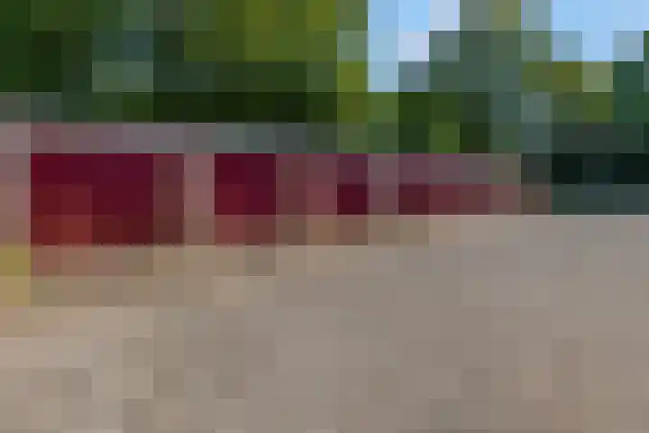 Lange Akkers 59 Ede thumbnail 4