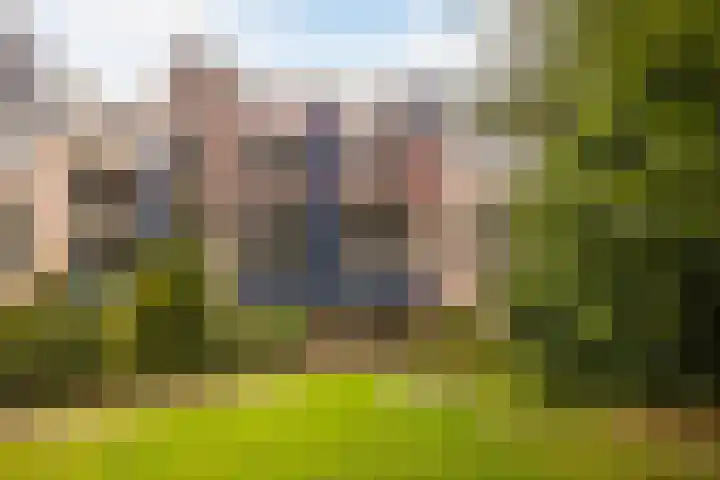 Lange Akkers 81 dans Ede