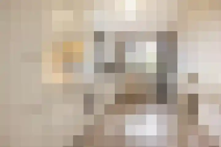 Lange Akkers 81 Ede thumbnail 11