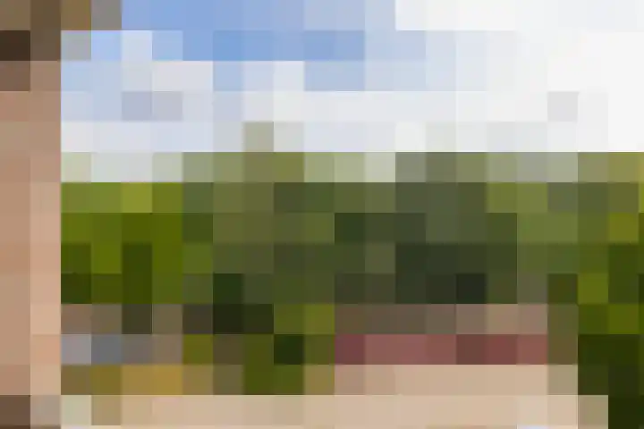 Lange Akkers 81 Ede thumbnail 15
