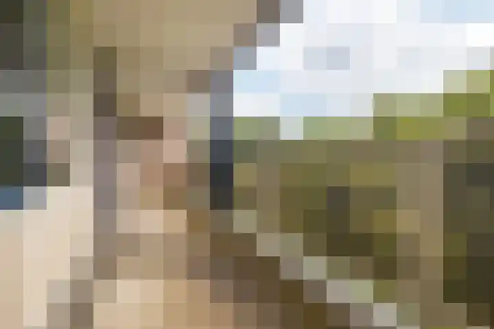Lange Akkers 81 Ede thumbnail 27