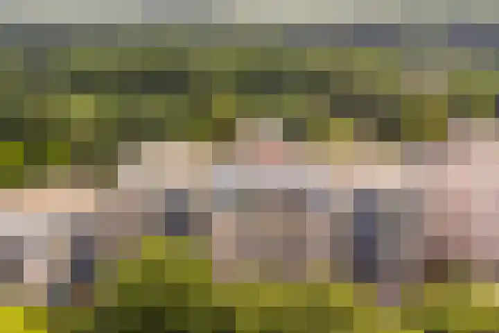 Lange Akkers 81 Ede thumbnail 31