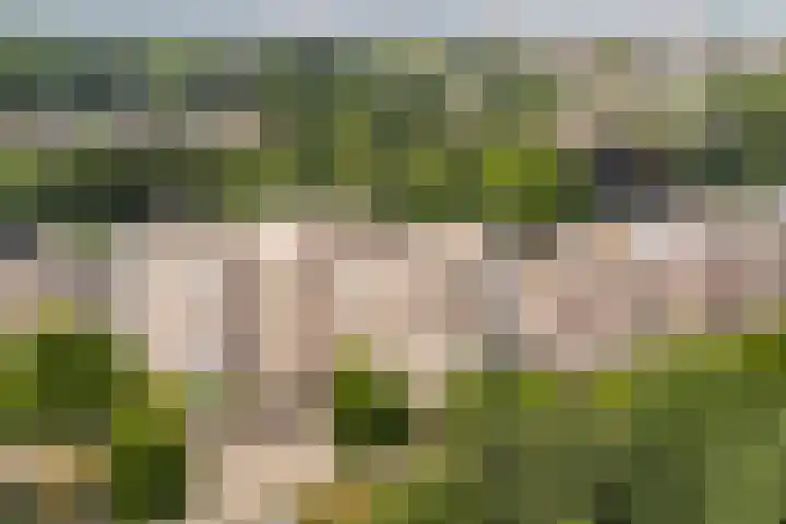 Lange Akkers 81 Ede thumbnail 32