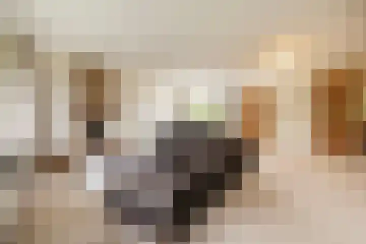 Lange Akkers 81 Ede thumbnail 8