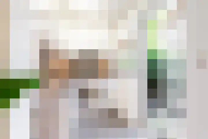 Lange Annastraat 12 A Haarlem thumbnail 10
