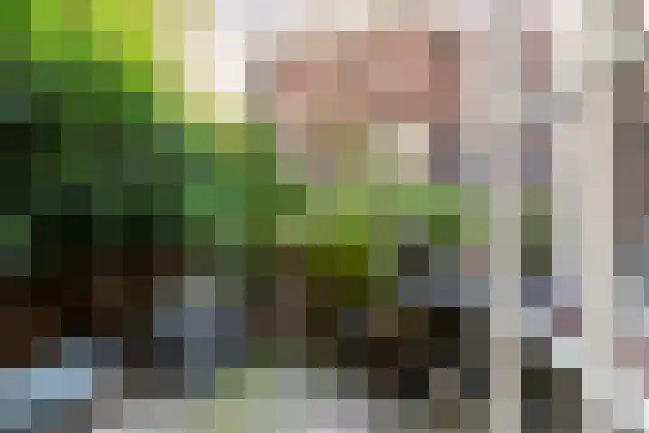 Lange Annastraat 12 A Haarlem thumbnail 13