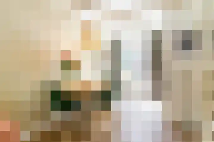 Lange Annastraat 12 A Haarlem thumbnail 7