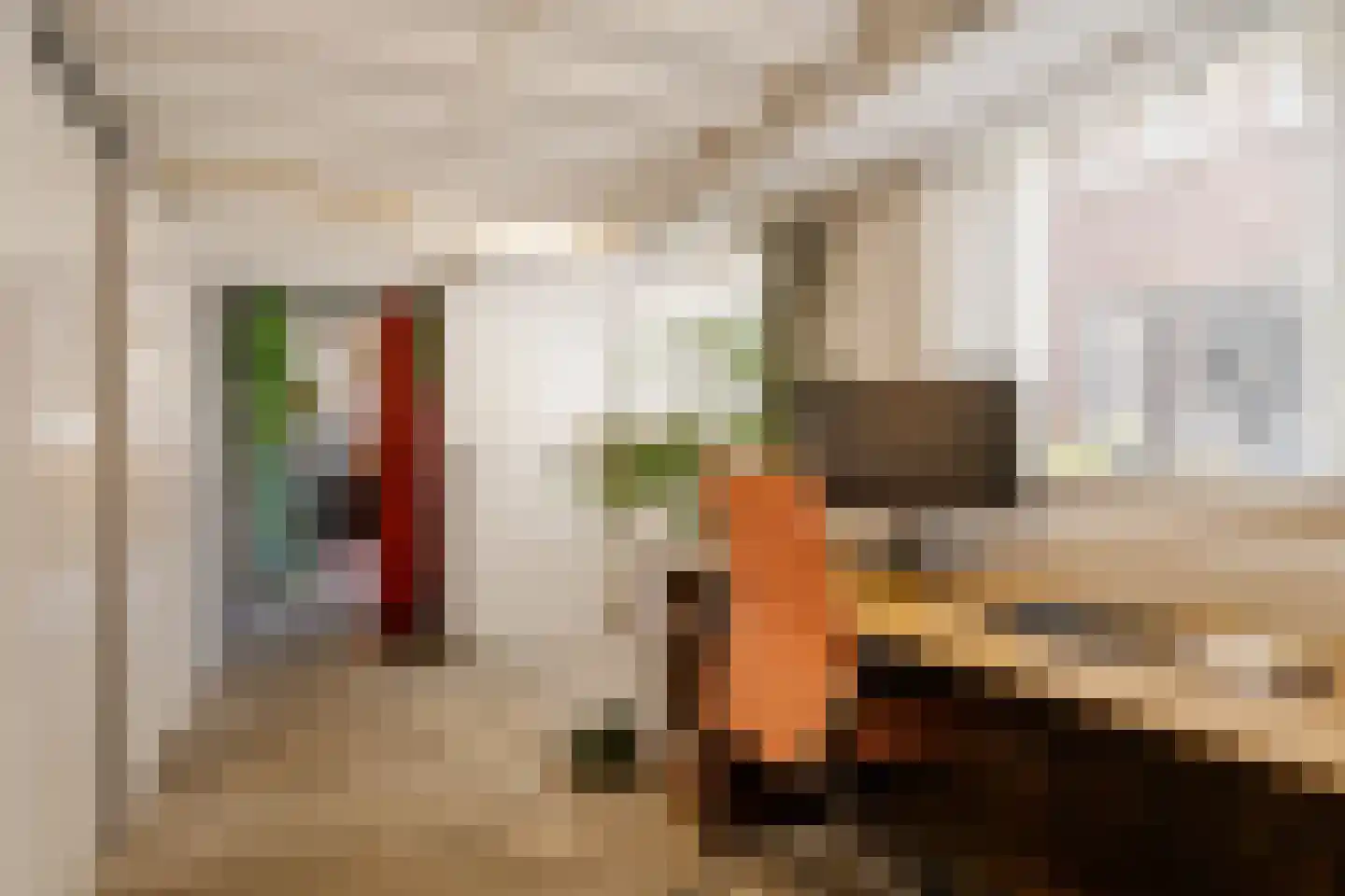 Lange Annastraat 19 A Haarlem thumbnail 17
