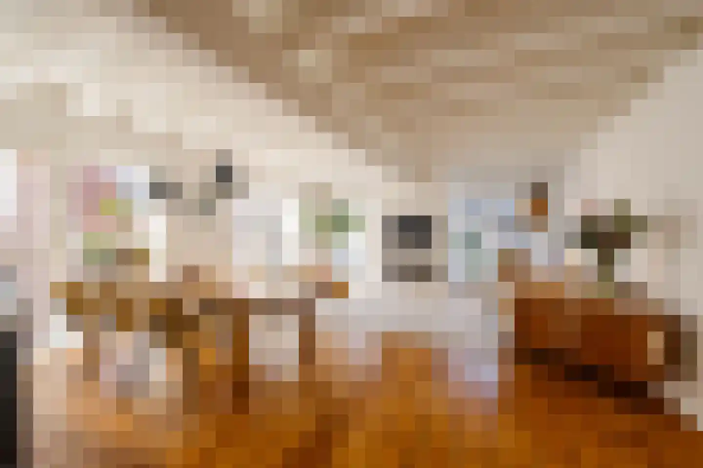 Lange Annastraat 19 A Haarlem thumbnail 26