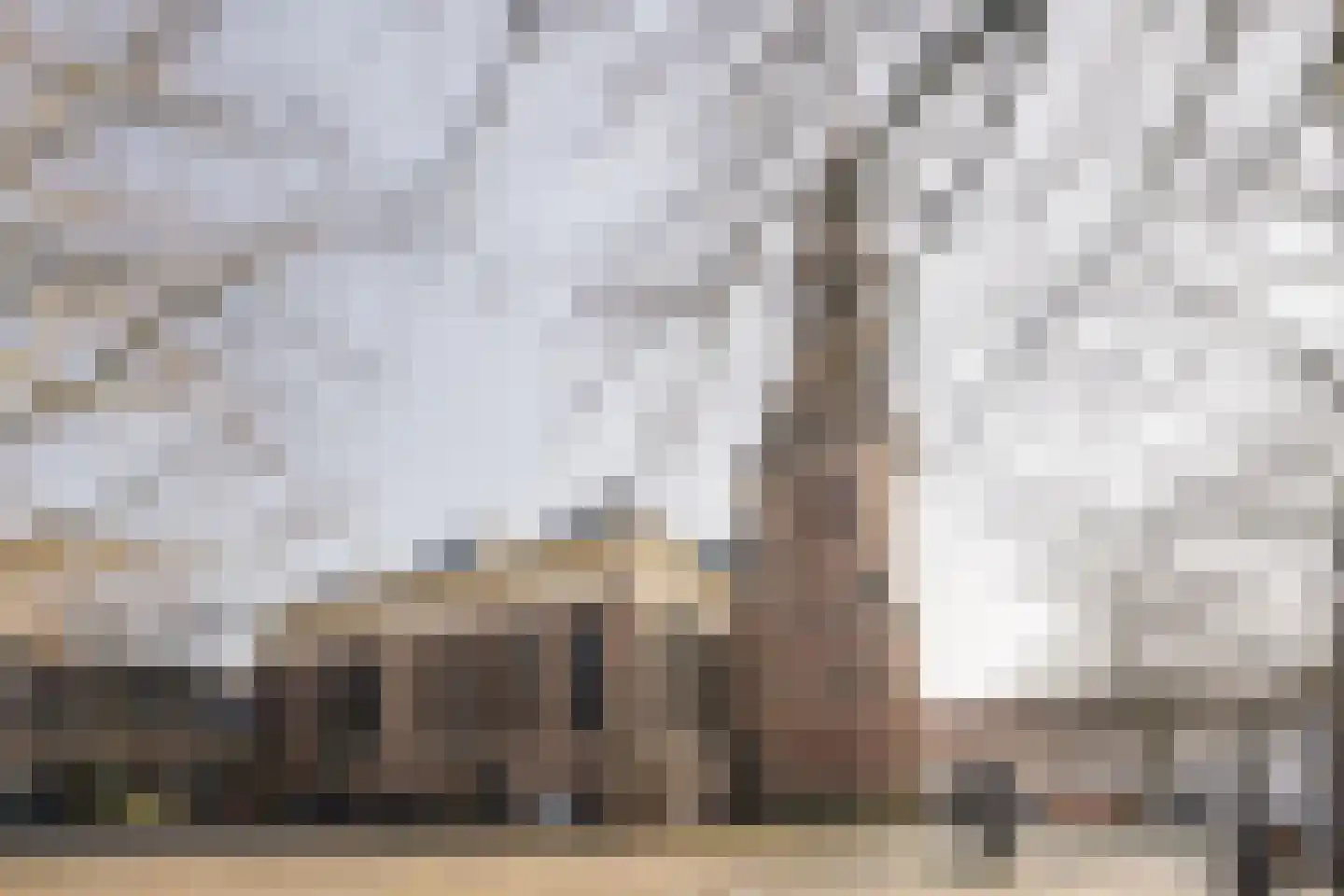 Lange Annastraat 19 A Haarlem thumbnail 60