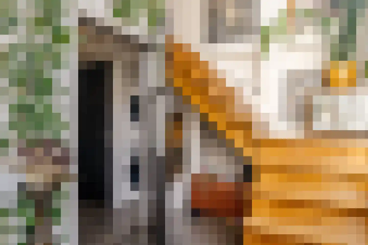 Lange Annastraat 19 A Haarlem thumbnail 8