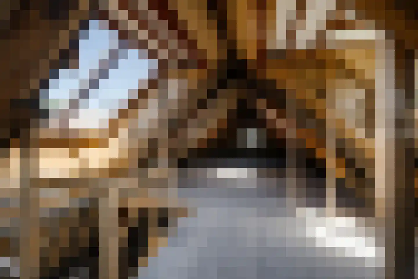 Lange Annastraat 24 Haarlem thumbnail 26