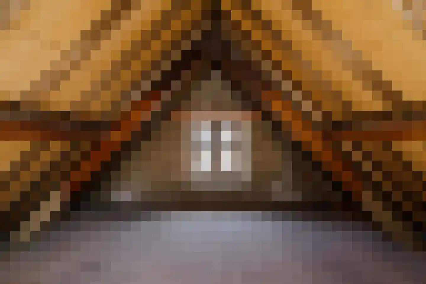 Lange Annastraat 24 Haarlem thumbnail 27