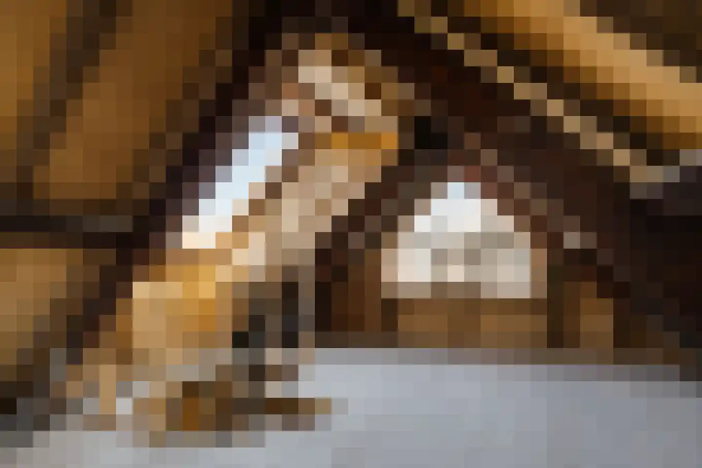 Lange Annastraat 24 Haarlem thumbnail 38