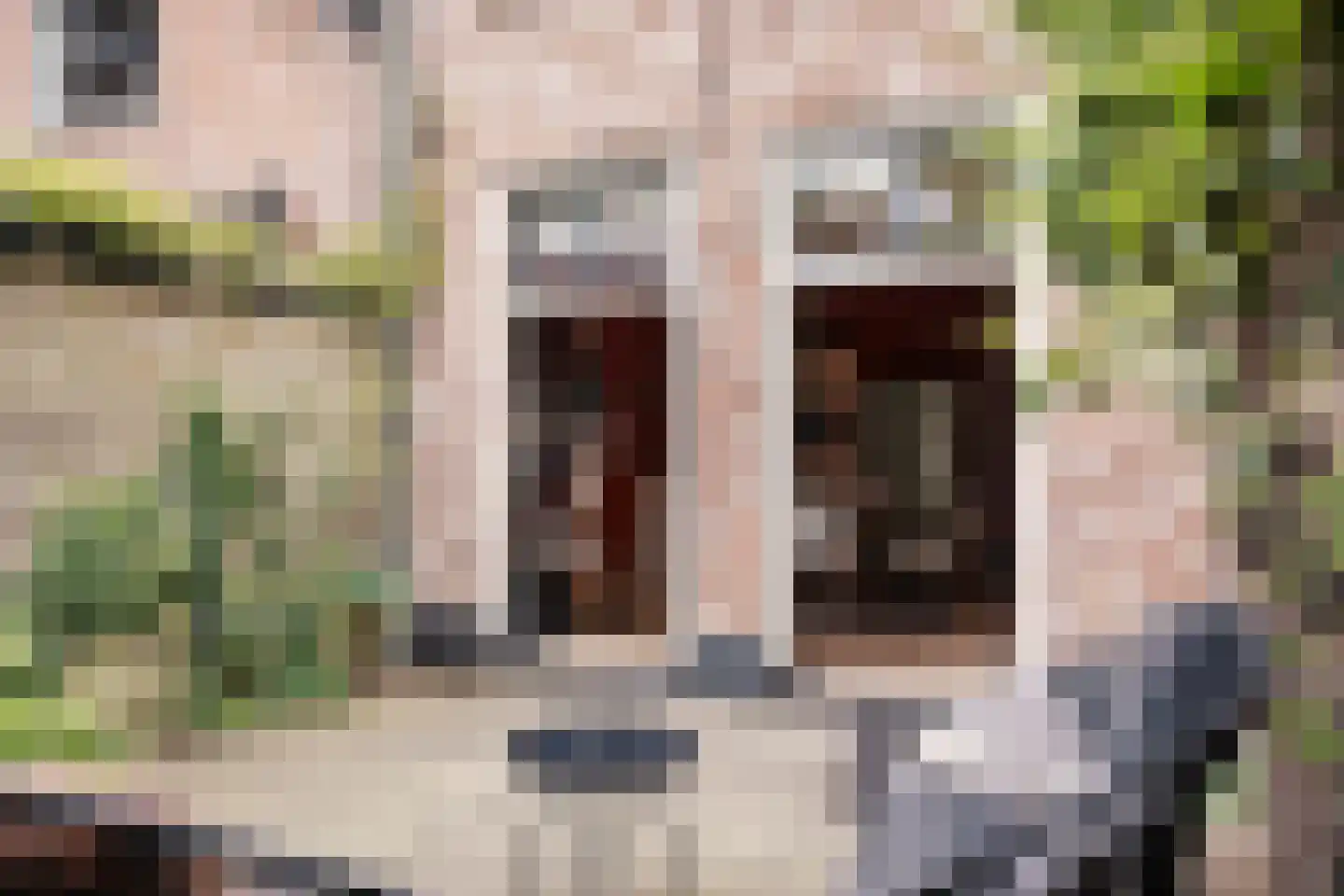 Lange Annastraat 27 Haarlem thumbnail 11