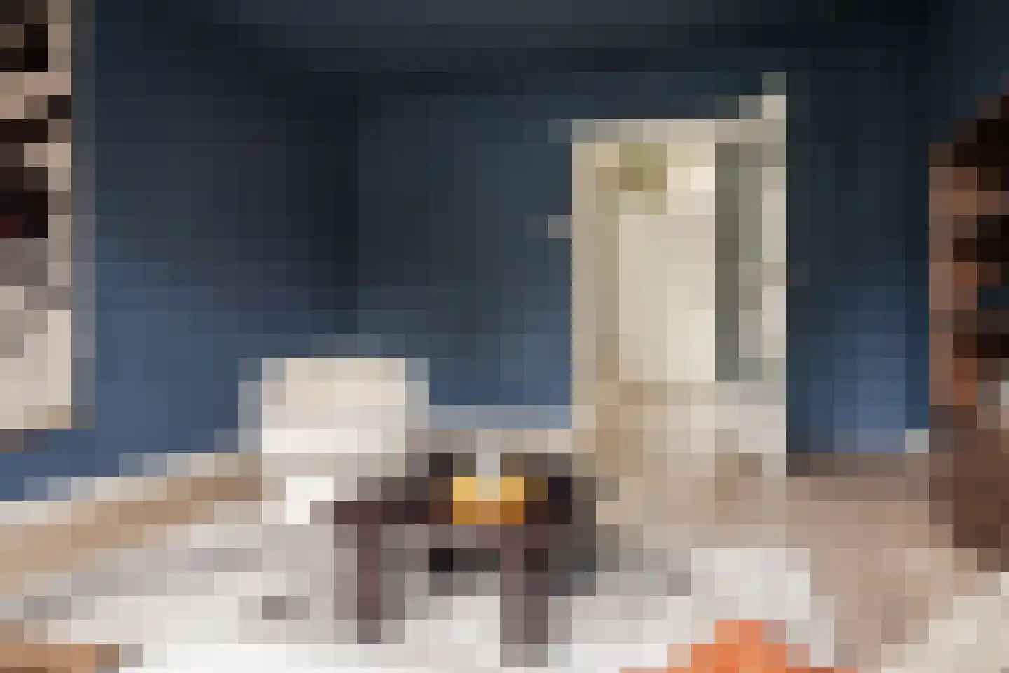 Lange Annastraat 27 Haarlem thumbnail 15