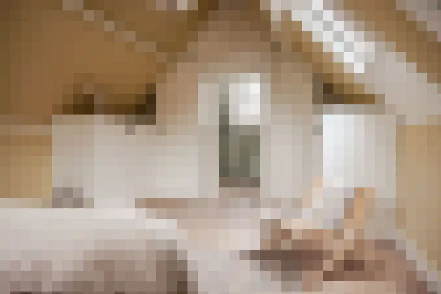 Lange Annastraat 27 Haarlem thumbnail 22
