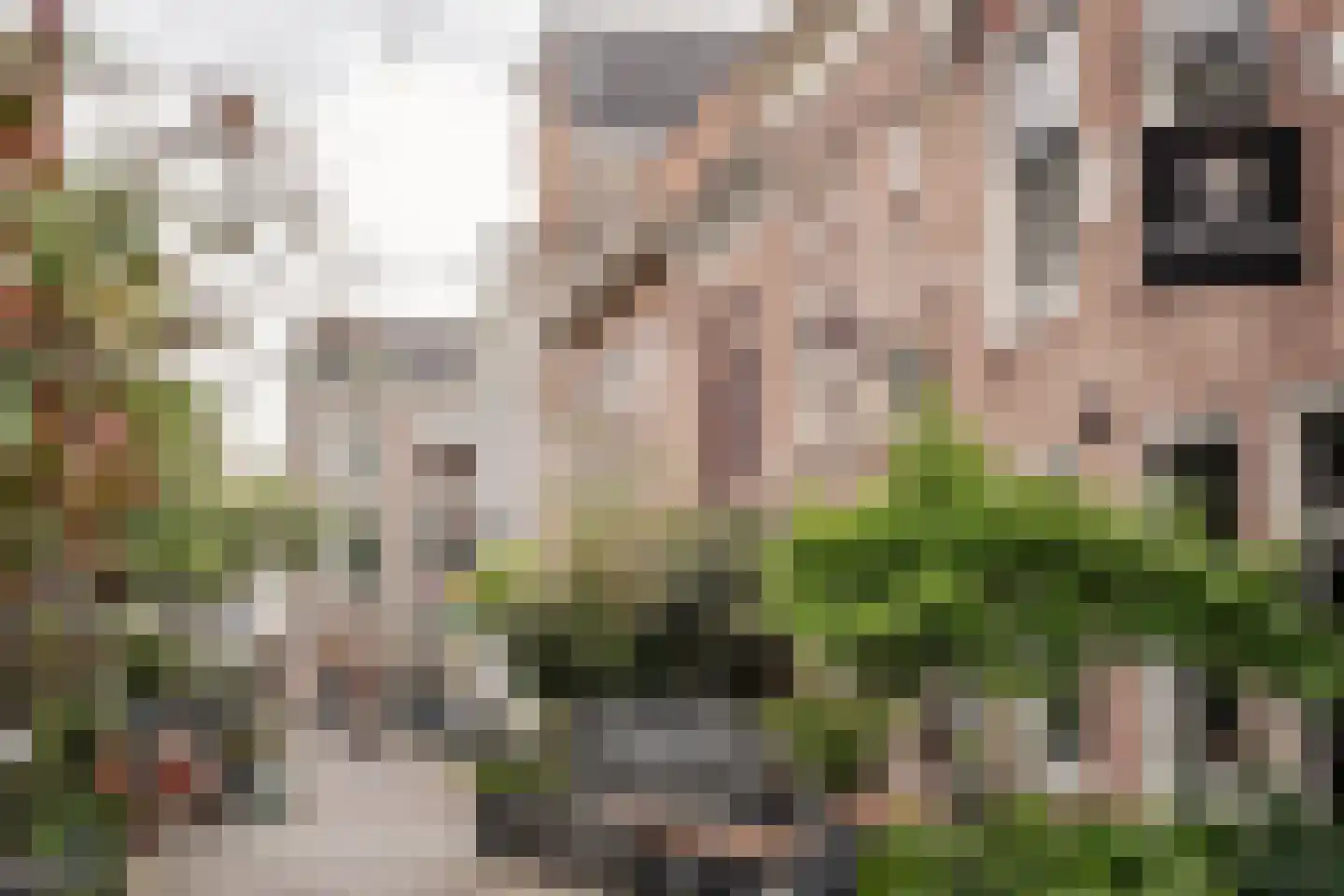 Lange Annastraat 27 Haarlem thumbnail 30