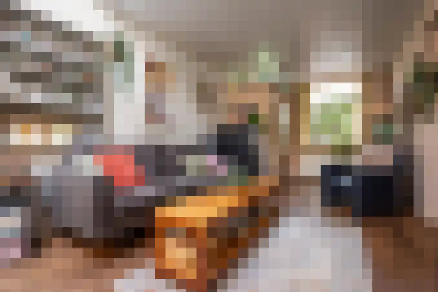 Lange Annastraat 6 Haarlem thumbnail 4