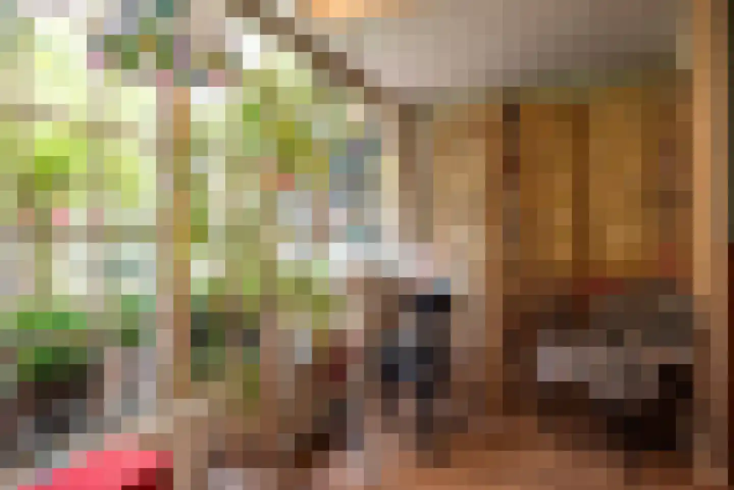 Lange Annastraat 6 Haarlem thumbnail 6