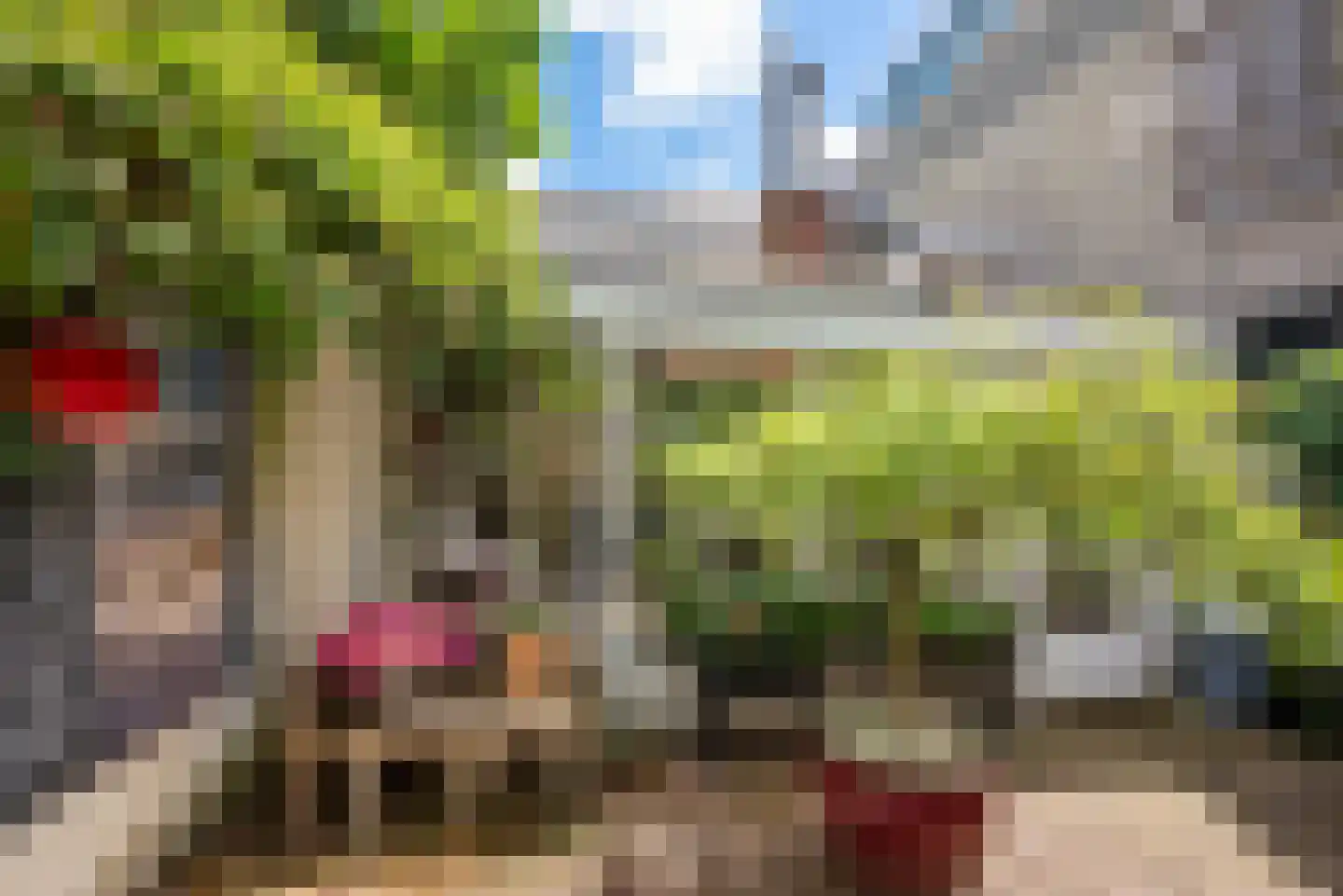 Lange Annastraat 6 Haarlem thumbnail 7