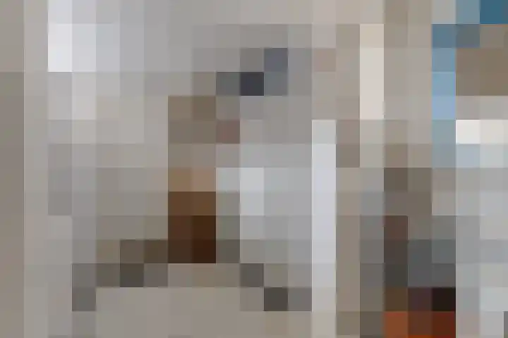 Lange Baan 62 Ureterp thumbnail 15