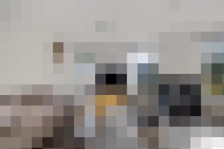 Lange Baan 62 Ureterp foto 2