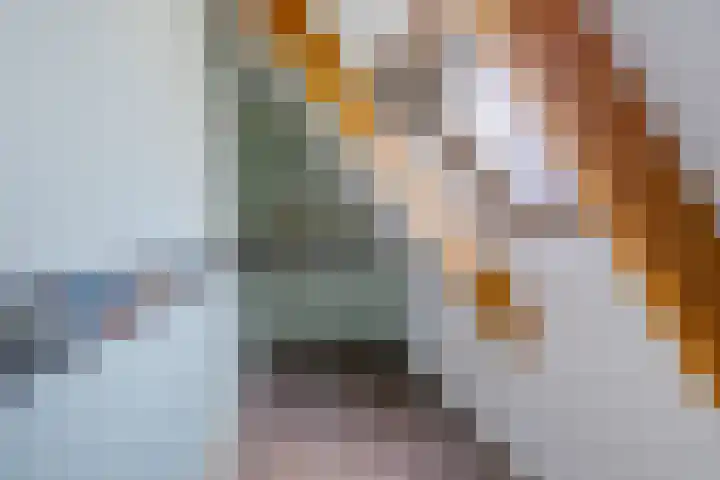 Lange Baan 62 Ureterp thumbnail 28