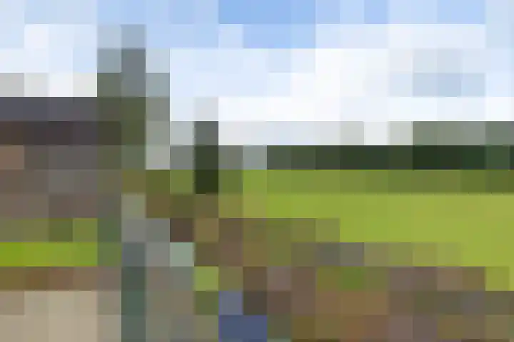Lange Baan 62 Ureterp thumbnail 34