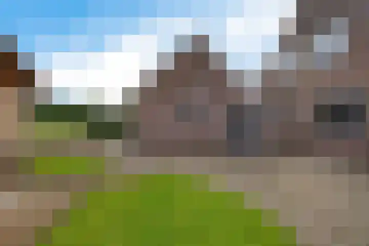 Lange Baan 62 Ureterp thumbnail 35
