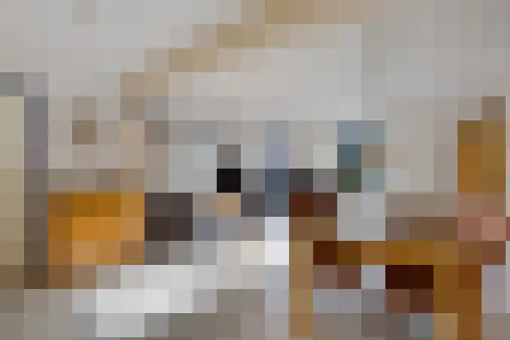 Lange Baan 62 Ureterp thumbnail 7