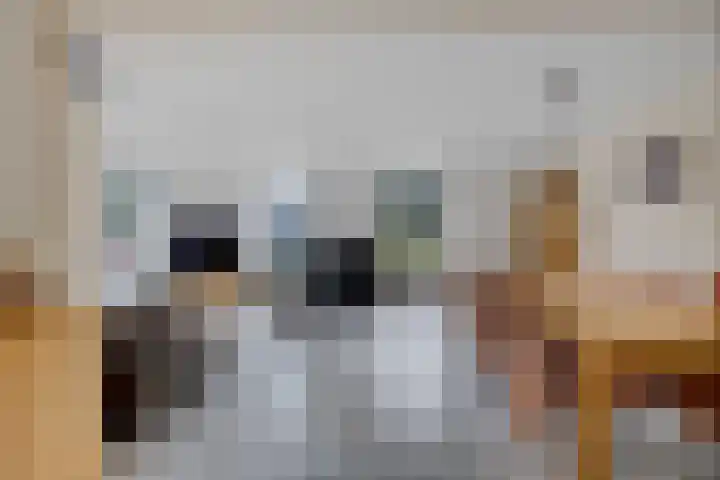 Lange Baan 62 Ureterp thumbnail 8