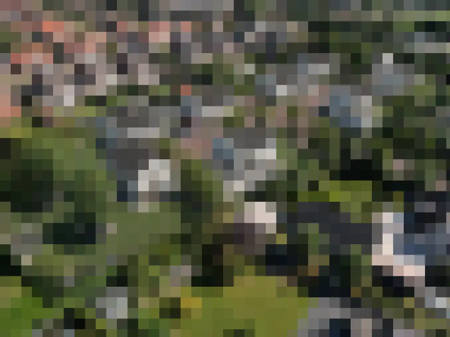 Lange Bedde 1 a Alphen thumbnail 10