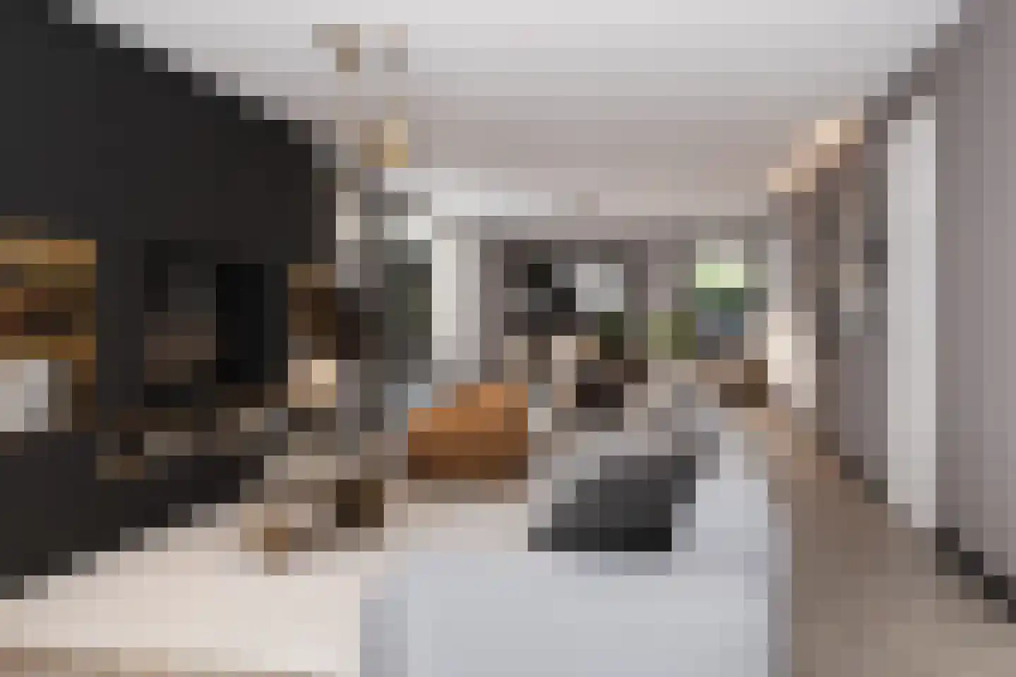 Lange Bedde 2 a Alphen thumbnail 4